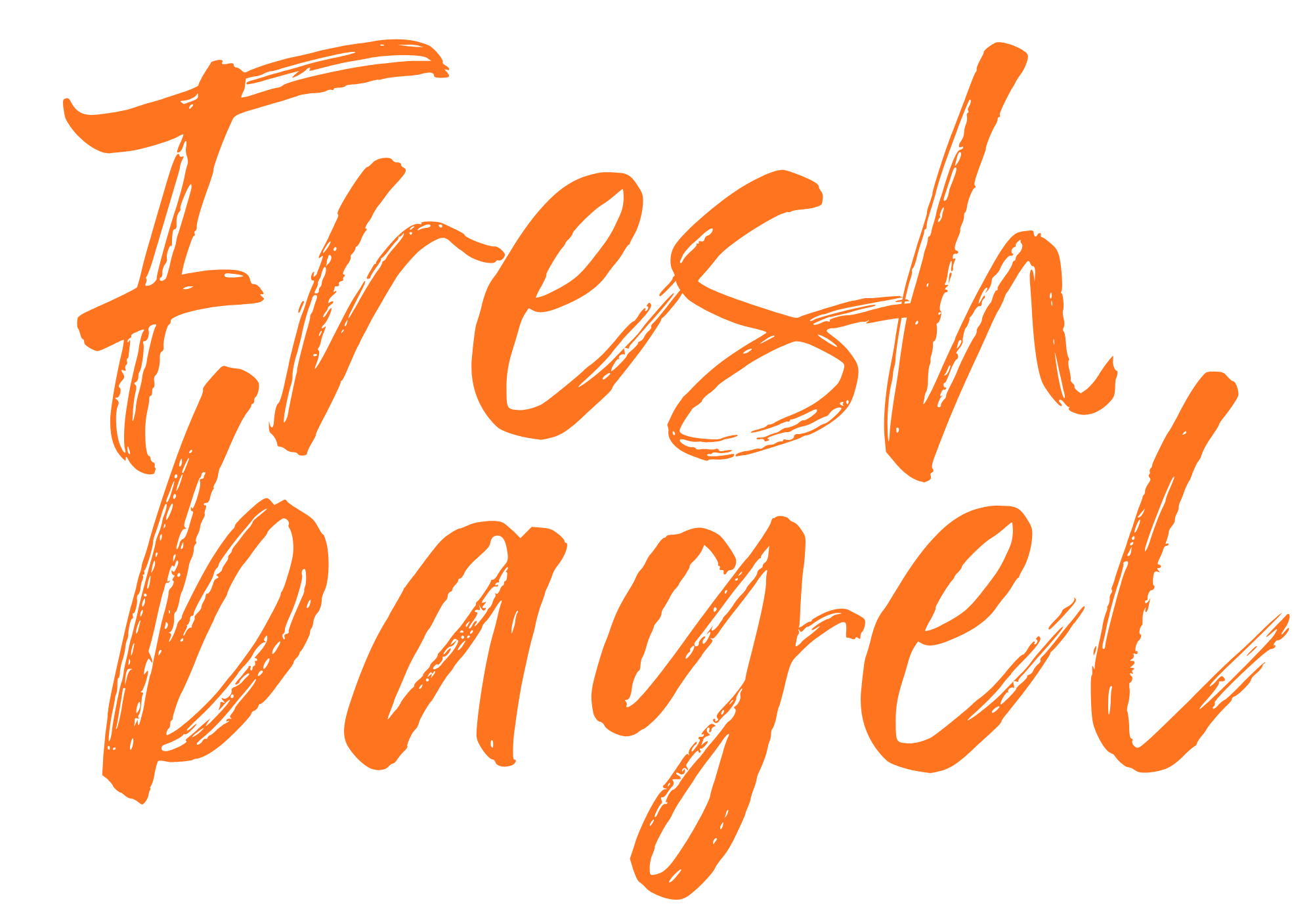 Fresh Bagel