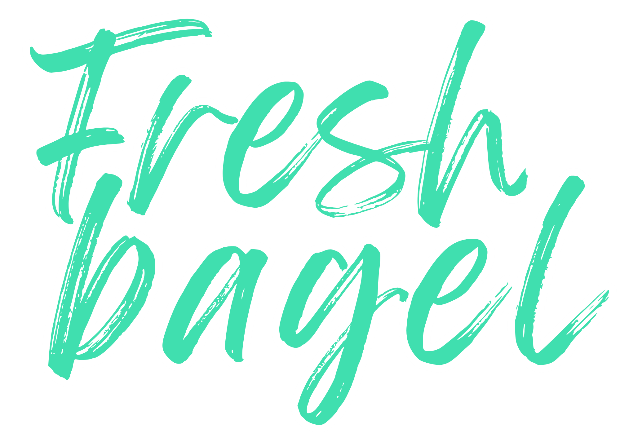 Fresh Bagel